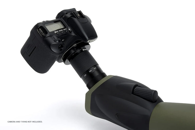 Celestron Ultima 100 45-degree zoom spotting scope with adjustable eyepiece and sturdy tripod for outdoor birdwatching and nature viewing