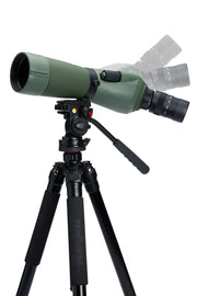 Celestron Regal M2 65 ED angled spotting scope with zoom lens and eyepiece, used for birdwatching and nature observation.