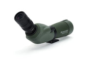 Celestron Regal M2 65 ED angled zoom spotting scope with eyepiece and tripod, designed for birdwatching and nature observation.