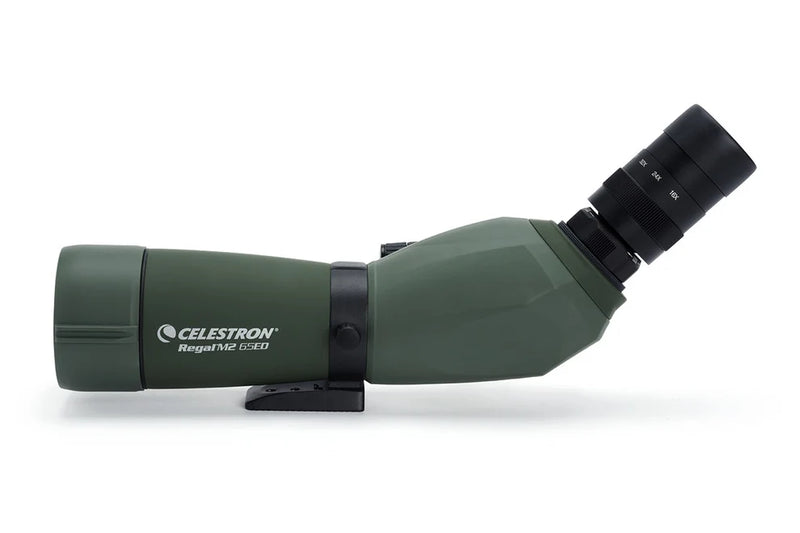 Celestron Regal M2 65 ED angled zoom spotting scope with adjustable eyepiece and sturdy tripod for birdwatching and nature observation.