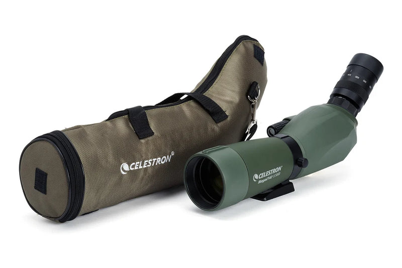 Celestron Regal M2 65 ED angled zoom spotting scope showing its eyepiece and body for birdwatching or nature viewing.