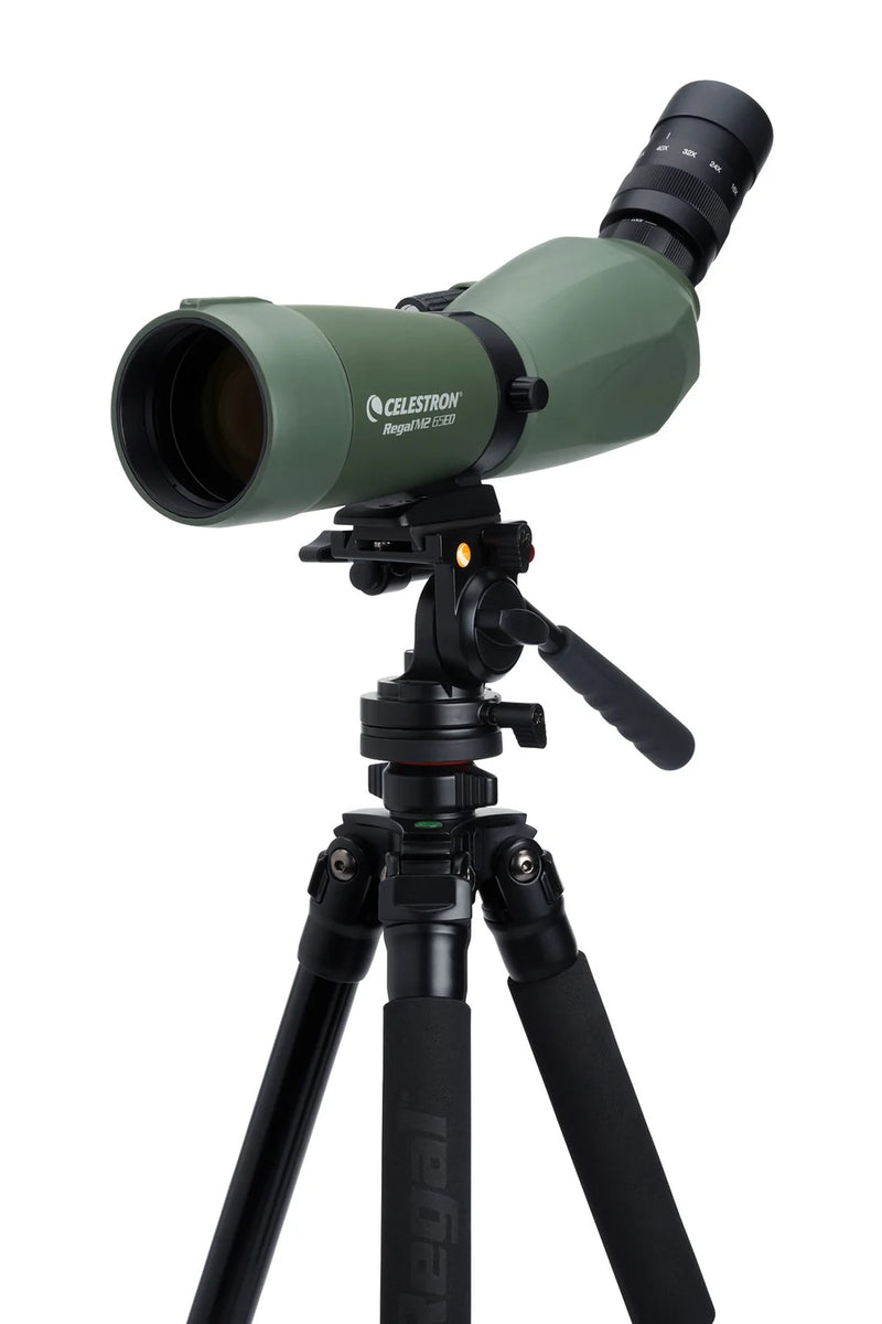 Celestron Regal M2 65 ED angled spotting scope with zoom eyepiece, compact binoculars for birdwatching and nature observation