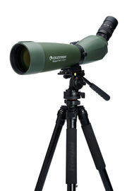 Celestron Regal M2 80 ED spotting scope with zoom lens, tripod mount, and eyepiece, designed for birdwatching and nature observation.