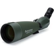 Celestron Regal M2 100ED Zoom Spotting Scope with adjustable eyepiece and sturdy tripod for birdwatching and nature observation.