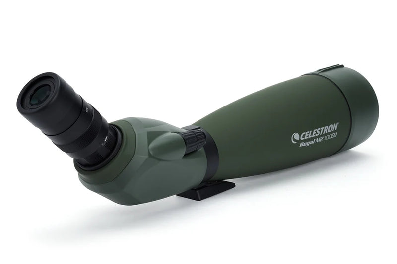 Celestron Regal M2 100 ED zoom spotting scope with adjustable eyepiece and sturdy tripod for outdoor birdwatching and nature viewing.