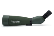 Celestron Regal M2 100 ED zoom spotting scope with adjustable eyepiece and sturdy tripod for nature and birdwatching.