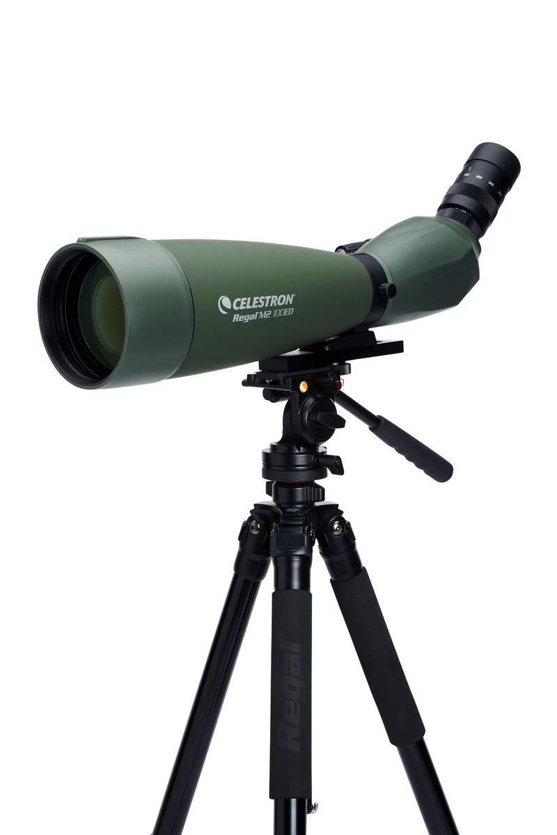 Celestron Regal M2 100ED zoom spotting scope with adjustable eyepiece, black body, and optical lens for detailed outdoor viewing