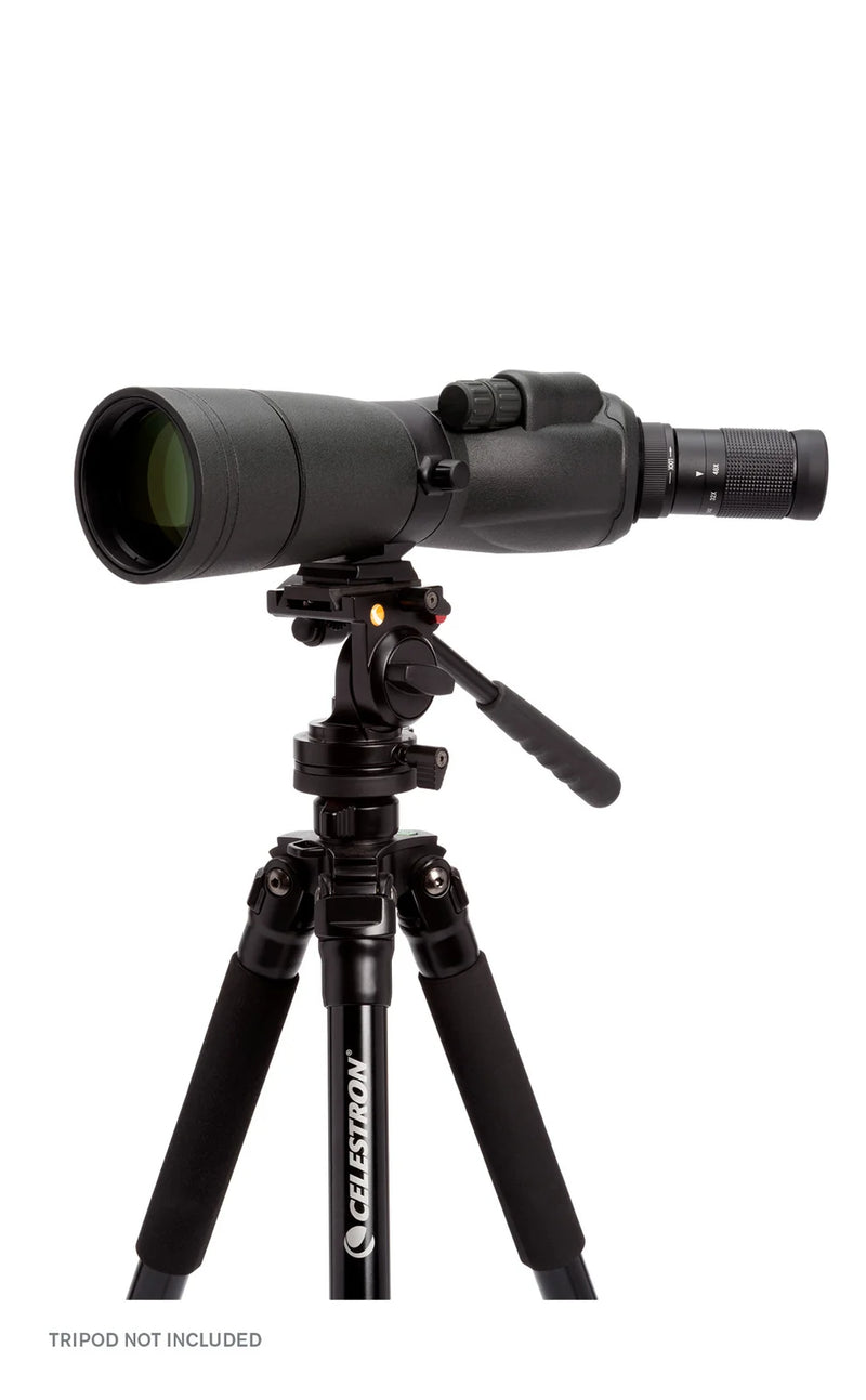Celestron TrailSeeker 65mm angled zoom spotting scope with a 45-degree eyepiece, outdoor viewing and nature observation.