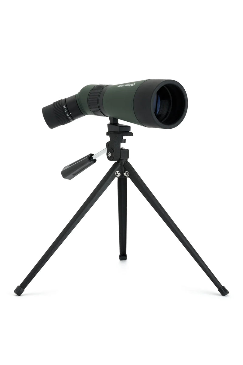 Celestron LandScout 12-36x60 binoculars with table-top tripod and smartphone adapter for outdoor viewing and photography.