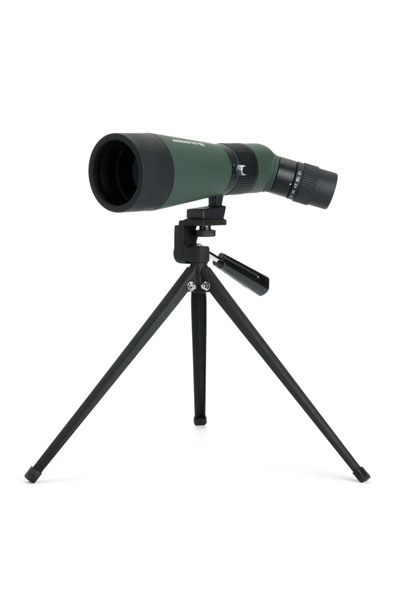 Celestron LandScout 12-36x60 binoculars with table-top tripod and smartphone adapter on a neutral background.
