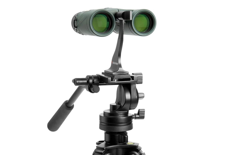 Celestron Nature DX 8x32 roof binoculars with black body and textured grip, outdoor viewing through large eyepieces.