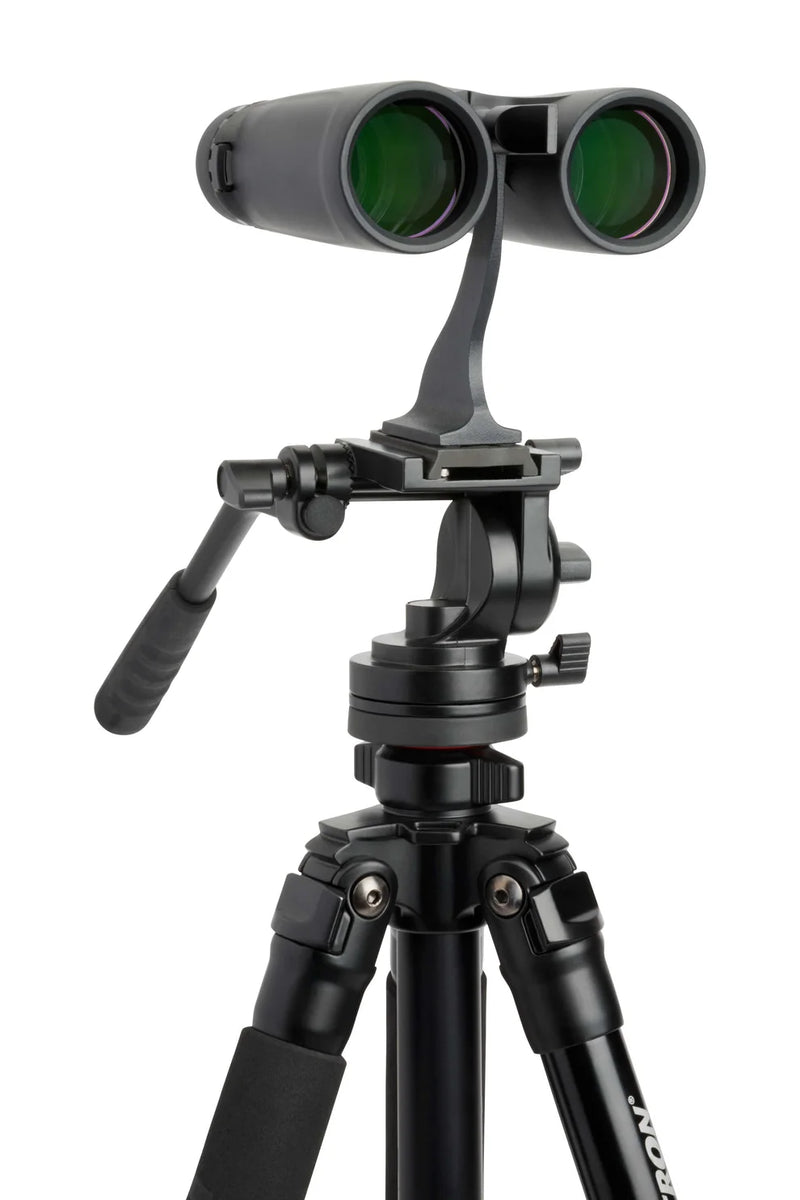 Celestron Outland X 8x42 roof binoculars mounted on a tripod, showing their compact design and durable build for outdoor viewing.