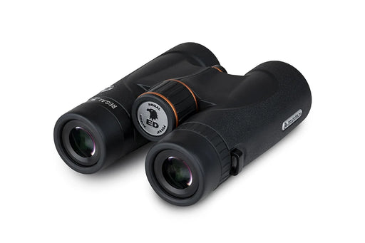 Celestron Regal ED 8x42 roof binoculars showing the eyepiece lenses and textured focus wheel on a black body