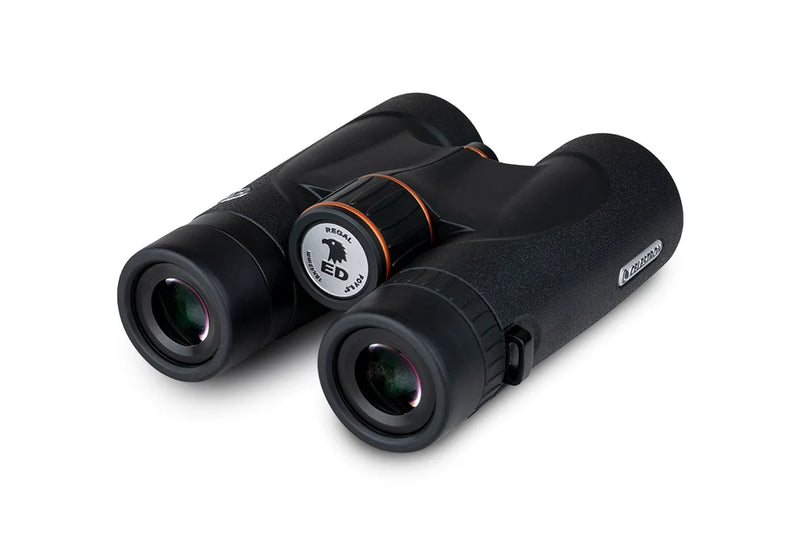 Celestron Regal ED 10x42 roof binoculars with black body and textured grip, showing the lenses and eyepiece.
