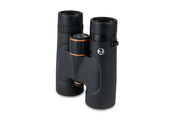 Celestron Regal ED 10x42 roof binoculars showing black body and large objective lenses for clear outdoor viewing.