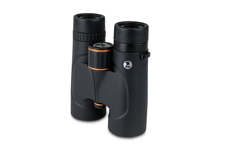 Celestron Regal ED 10x42 roof binoculars showing black body and large objective lenses for clear outdoor viewing.