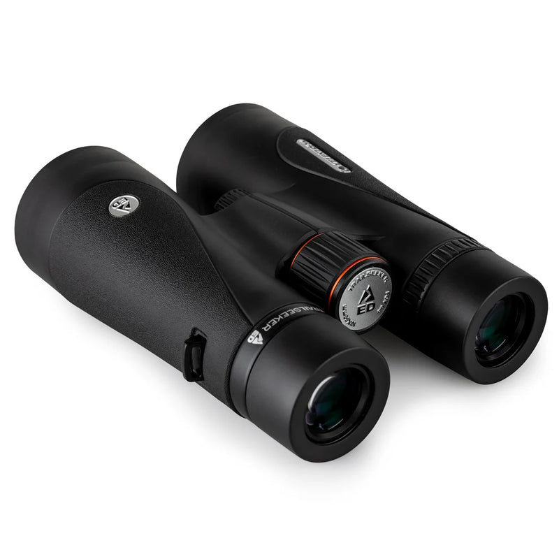Celestron TrailSeeker ED 10x50 roof binoculars with large lenses and rubber armoring, suitable for outdoor wildlife viewing.