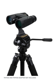 Celestron Nature DX 8x42 roof binoculars with black body and textured grip, used for outdoor birdwatching and nature observation.