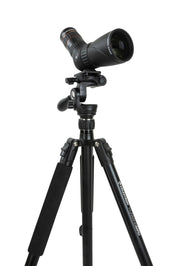 Celestron Hummingbird fast action pan tilt head tripod for telescope mounts, with adjustable pan and tilt controls.