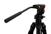 Celestron Regal Premium tripod for telescopes, sturdy mount with adjustable legs and stable base for astronomy observations.