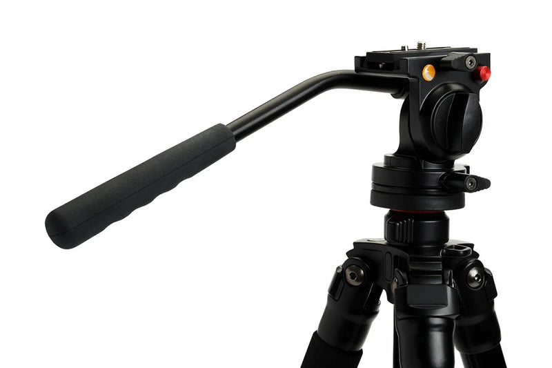 Celestron Regal Premium tripod for telescopes, sturdy mount with adjustable legs and stable base for astronomy observations.