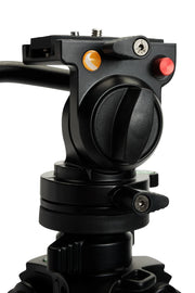 Celestron Regal Premium tripod for telescope mounts, sturdy black aluminum tripod with adjustable legs and secure locking mechanisms.