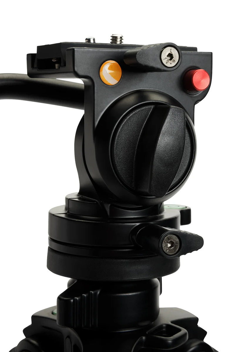 Celestron Regal Premium tripod for telescope mounts, sturdy black aluminum tripod with adjustable legs and secure locking mechanisms.