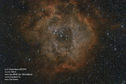 Celestron RASA 6-inch Rowe-Ackermann Schmidt Astrograph OTA for astrophotography, capturing deep-sky images of NGC 2244.