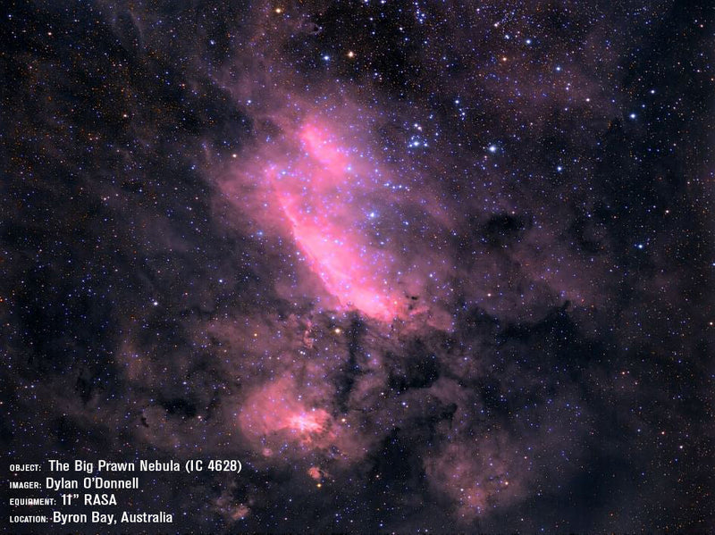 Celestron CGX 11" Rowe-Ackermann Schmidt Astrograph V2 reflecting telescope capturing the Big Prawn Nebula IC 4628.